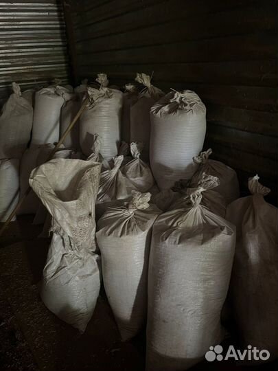 Корм для курей,гусей