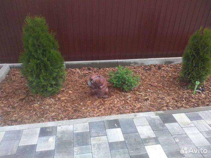 Кора сибирской лиственницы