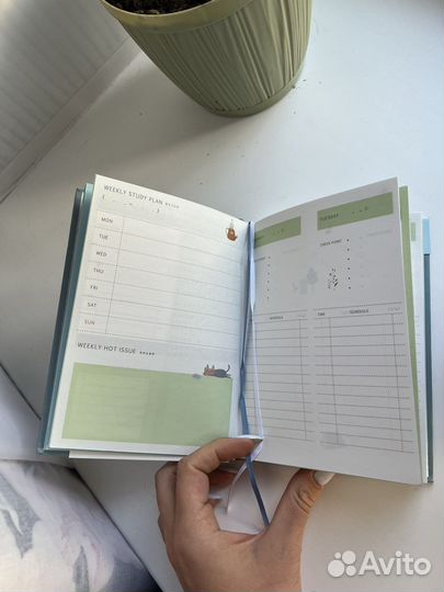 Планер / Ежедневник