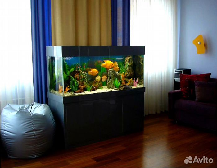 Аквариум Краснодар