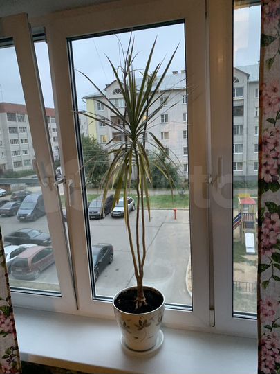 3-к. квартира, 64,7 м², 3/9 эт.