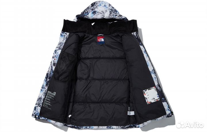 THE north face Jacket Men Multicolor (S)(90)