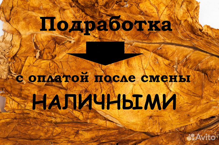 Рабочий (выходного дня) не пищевое производство