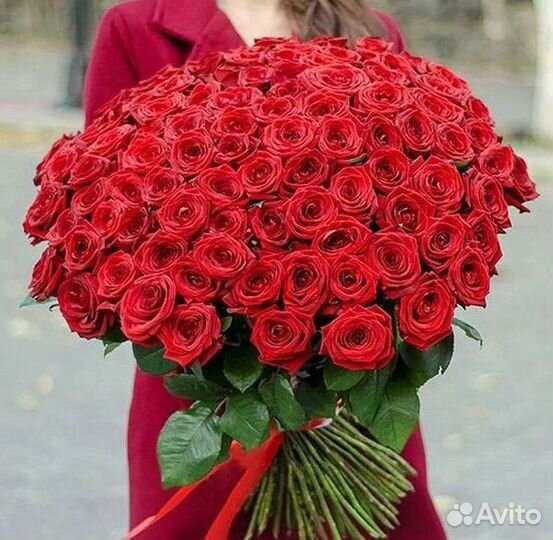 Розы Высокие 150см 160см 170см 180см 190см 2м