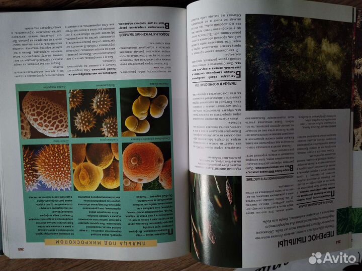 Книга позновательная