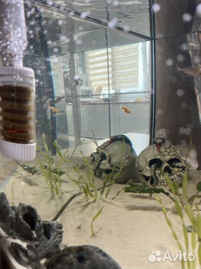 Аквариум 60л