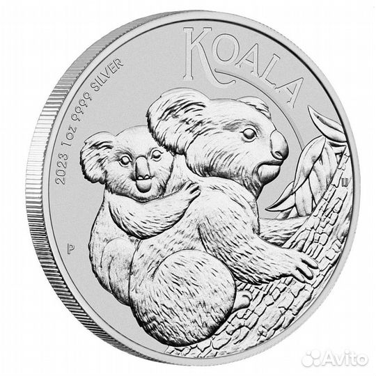 Коала 2024, 2023, 2021 Австралия монеты