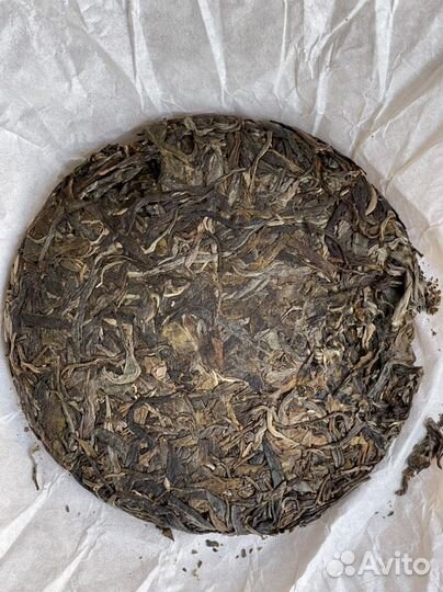 Шен Пуэр одиночное дерево, 600 лет