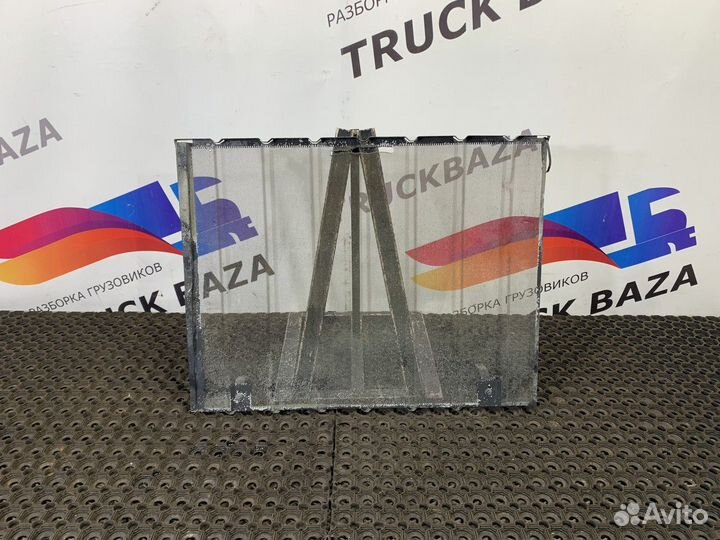 Противомоскитная сетка Mercedes-Benz Actros