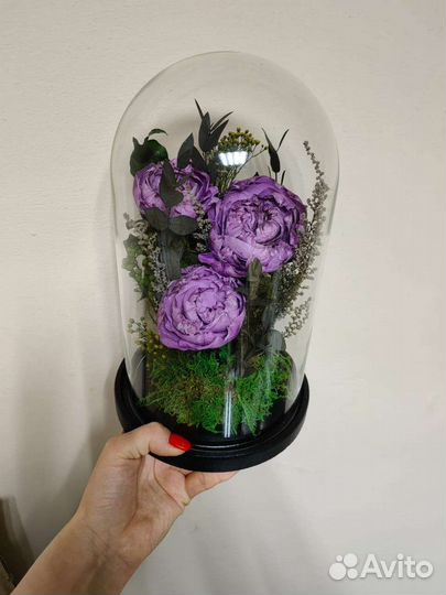 Живые сиреневые пионы в колбе, от