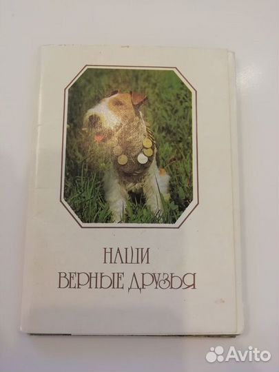 Набор открыток Собаки