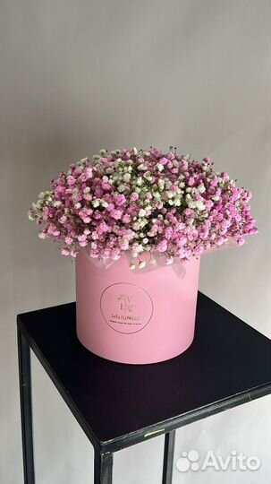 Букет из гипсофилы радужная гипсофила