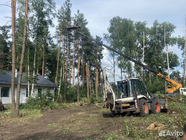Выпиливание деревьев, подготовка участка, спил