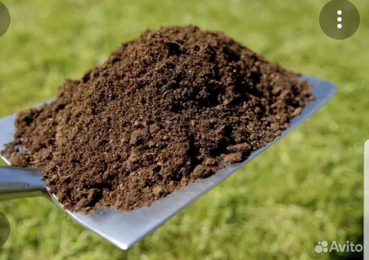 Конский перегной