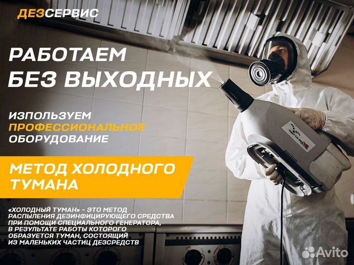 Уничтожение тараканов, клопов, плесени и блох