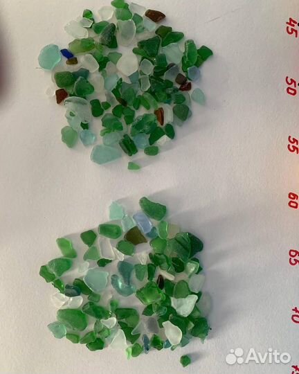 Стеклышки морские