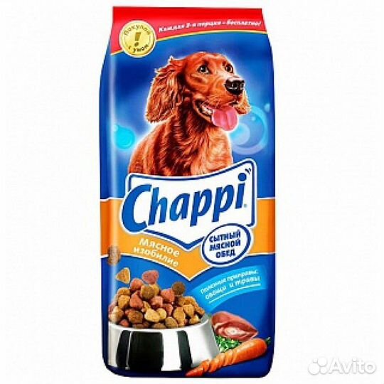 Собака из приюта. Помощь приюту