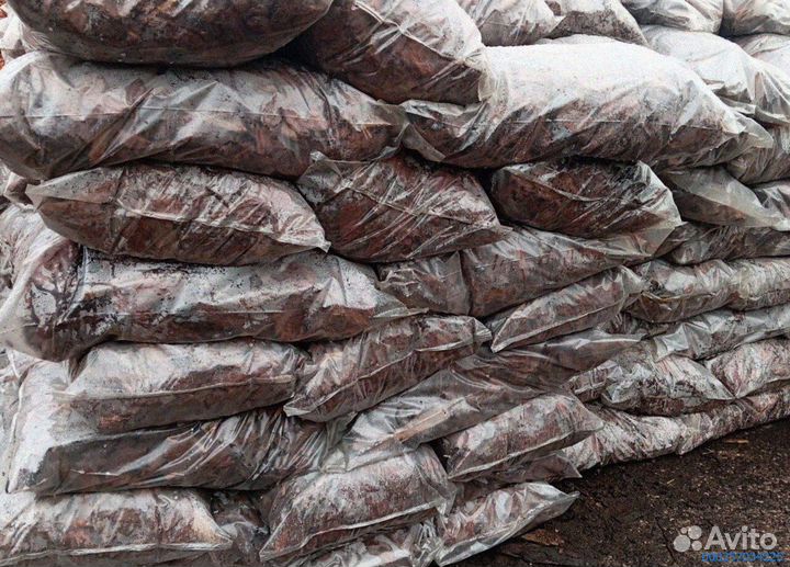 Лиственничная кора: сила и натуральность