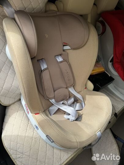 Детское автокресло 9 до 36 кг rant