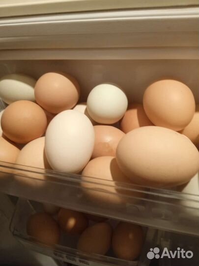 Яйцо домашнее с доставкой