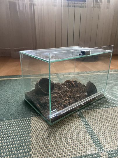 Террариум для паука
