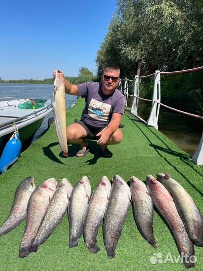 Организация рыбалки