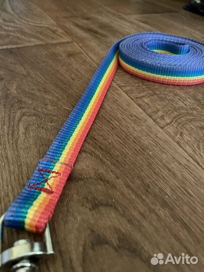 Амуниция для собак