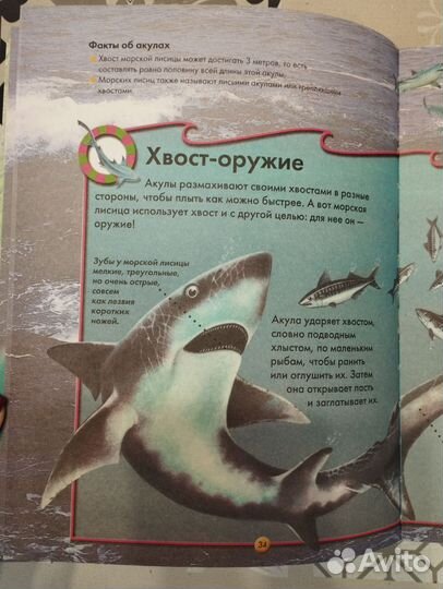 Детская энциклопедия животных