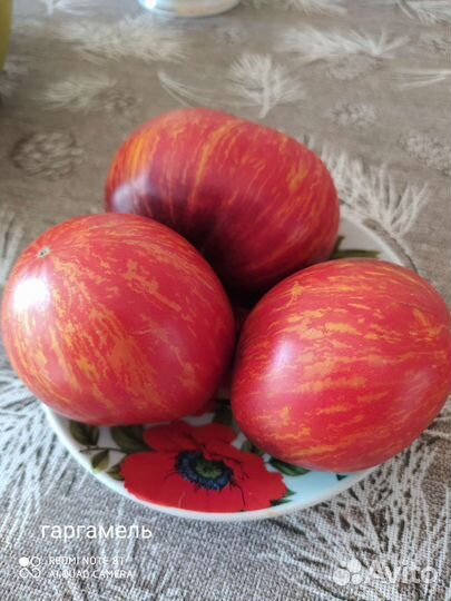 Семена помидор