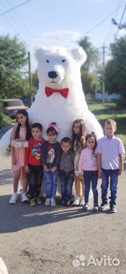 Белый мишка поздравление