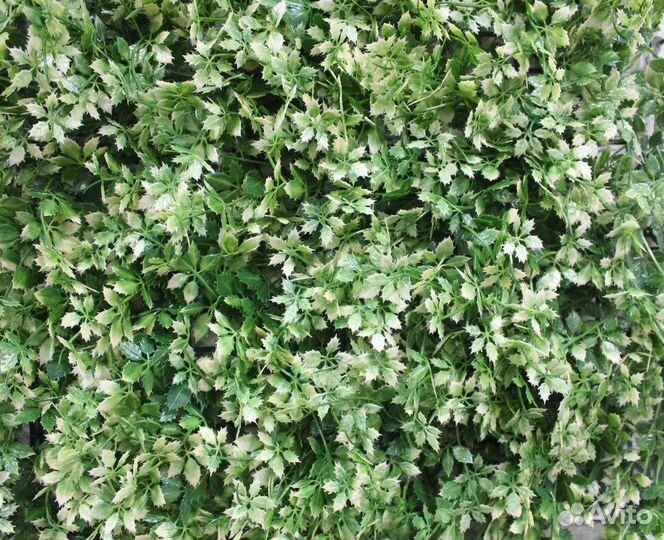 Искусственная модульная трава