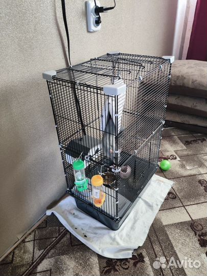 Большая клетка для крыс