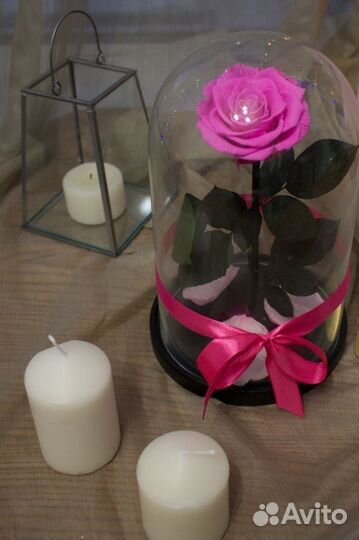 Роза в колбе