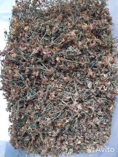 Травы душица крапива зверобой