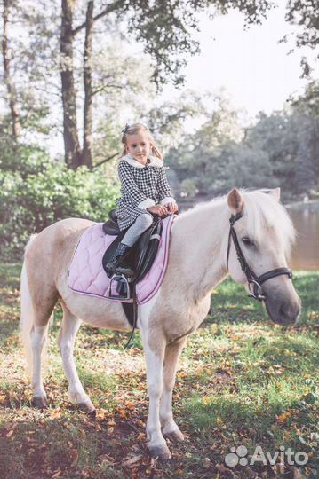 Пони на праздник