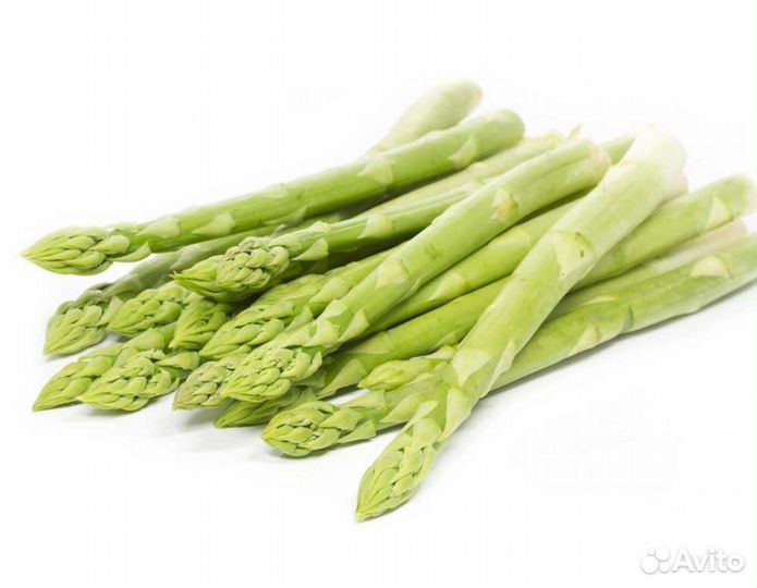 Спаржа зеленая