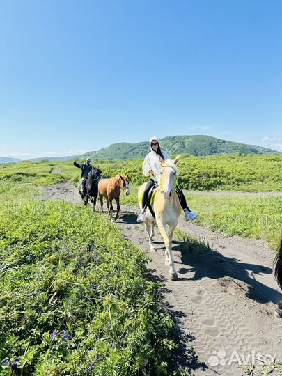Прогулки на лошадях