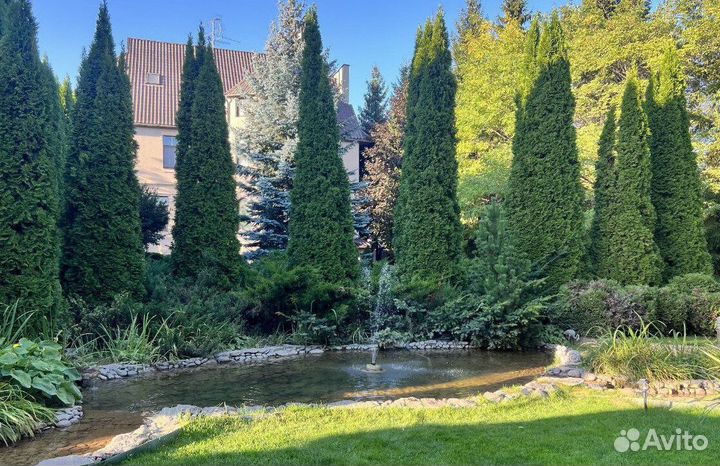 Туя с доставкой с полей