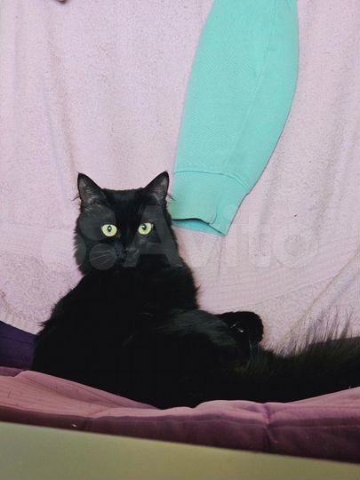 Комната 14 м² в 2-к., 4/5 эт.