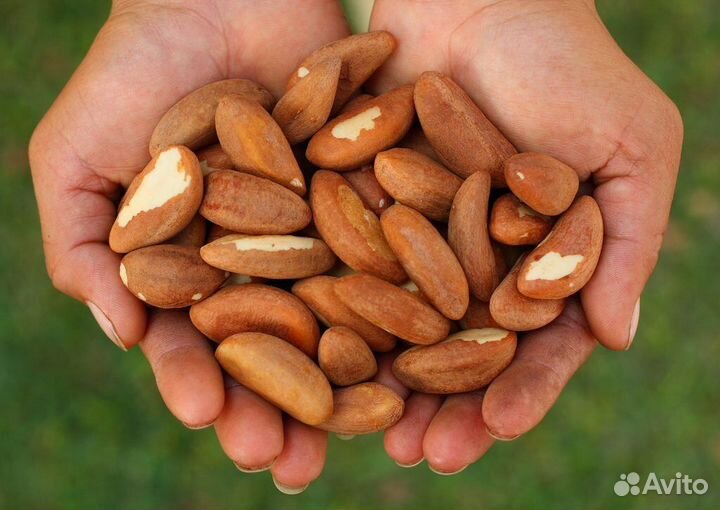 Бразильский орех