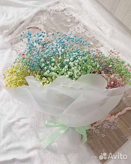 Гипсофила разных цветов