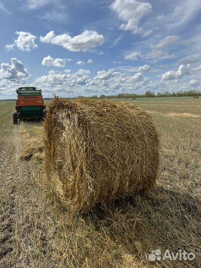 Солома.Есть доставка