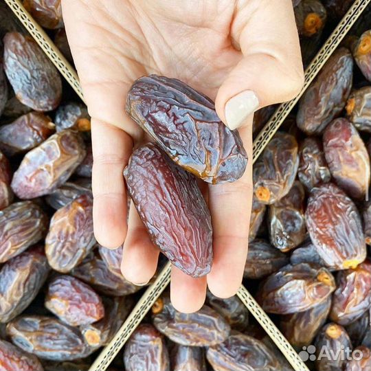 Финики все виды