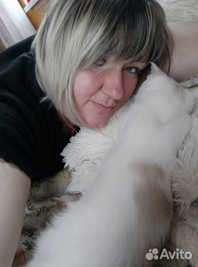 Набор текста