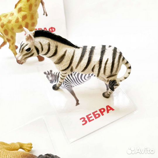 Фигурки Животные жарких стран