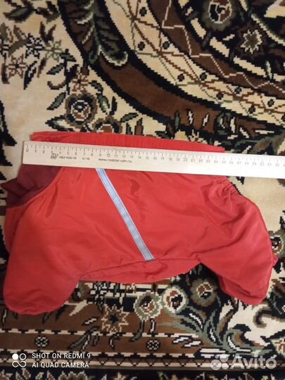 Комбинезон демисезонный для собаки