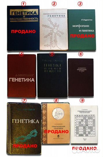 Генетика, наследственность, морфогенез