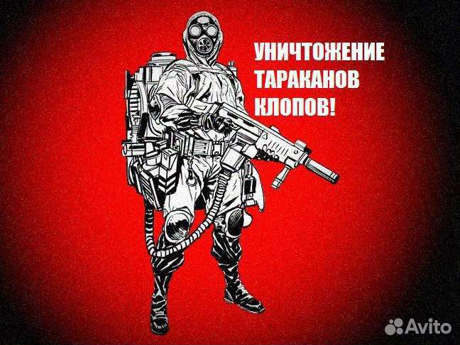 Дезинсекция