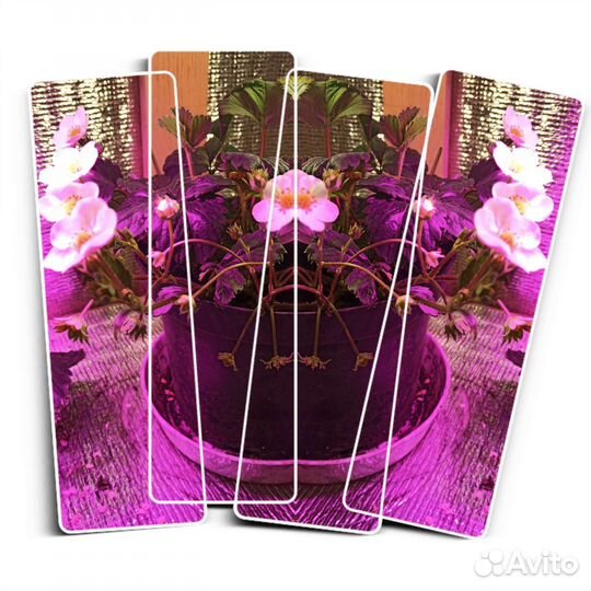 Фитолампа 200Вт