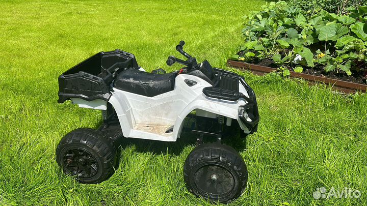 Квадроцикл Grizzly Next Barty Т009мр 4х4